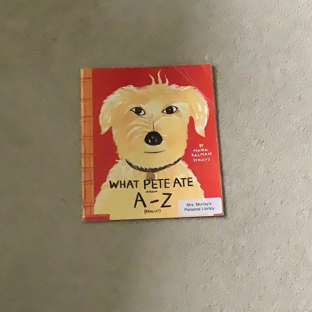 I am selling a picture book